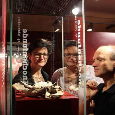 Kuriositäten-Kabinett